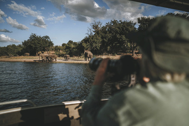 Bootsfahrt auf dem Chobe Fluss, ©Africa Experience