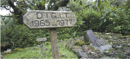 Optionaler Besuch des Dian Fossey Grabmal, ©Across Africa