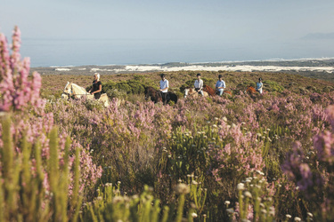 Auf den Pferden durch das Reservat, ©Grootbos Private Nature Reserve