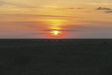 Sonnenuntergang im Liuwa Plains NP, ©Adobe Stock/Lizenznummer_1083111951