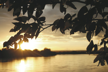 Sonnenuntergang in Sambia, ©Africa Experience