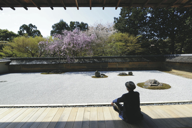 Ryoanji Zen-Garten