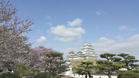Burg des weißen Reihers in Himeji, ©Noppadon Kammak - shutterstock.com