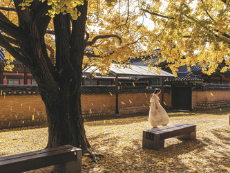 Gyeongbok Palast, ©?? ?, pixabay.com