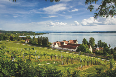 Bodensee , ©Tommy Rau, pixabay.com