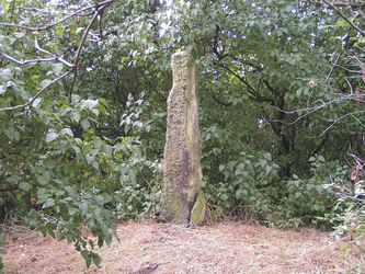 Menhir auf dem Pfingstberg bei Latdorf  