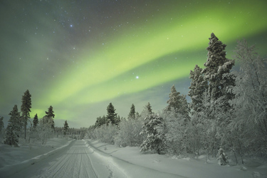 ©Sara Winter - shutterstock.com