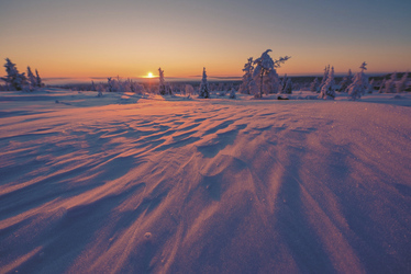 Winterlandschaft, ©Harriniva Hotels & Safaris