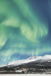 Polarlichter über der verschneiten Landschaft, ©Daniel Spohn