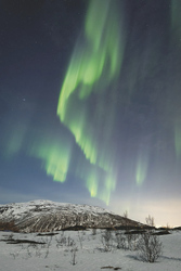 Polarlichter über Norwegen, ©Daniel Spohn