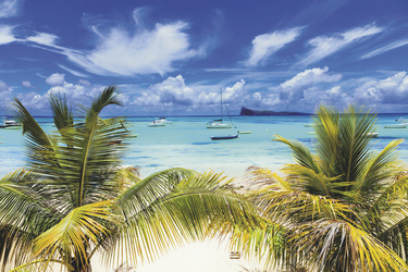©Freesurf - stock.adobe.com