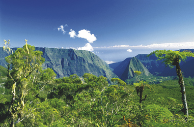 Bergwelt auf La Réunion