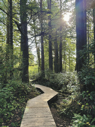 Pacific Rim Nationalpark, ©Karawane