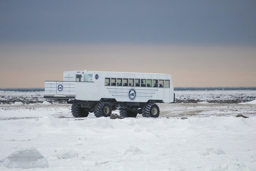 Tunda Buggy Adventure, ©Frontiers North
