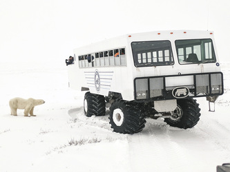 Tundra Buggy Adventure, ©Frontiers North