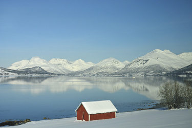 ©Hurtigruten