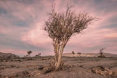 Landschaft am Jebel Shams © Lars Nickel & Dunes Adventures, ©Lars Nickel & Dunes Adventures