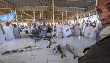 Fischauktion in Barka © Lars Nickel & Dunes Adventure