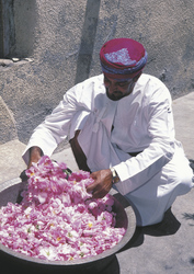 © Ministry of Tourism, Sultanate of Oman