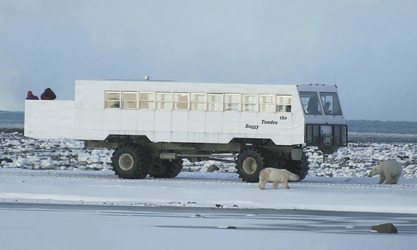 TundraBuggy, ©Frontiers North