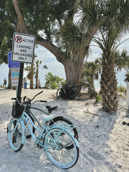 Anna Maria Pine Avenue, ©Karawane