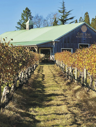 Cape May Winery, ©Karawane
