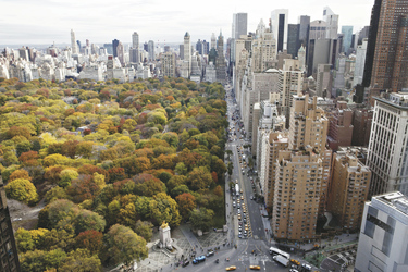 Central Park New York, © Marley White/NYC and Company