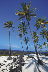 ©Hawaii Tourism, Tor Johnson