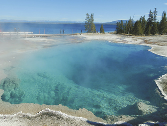 Thermal Pool im Yellowstone Nationalpark , ©TravelDreamWest